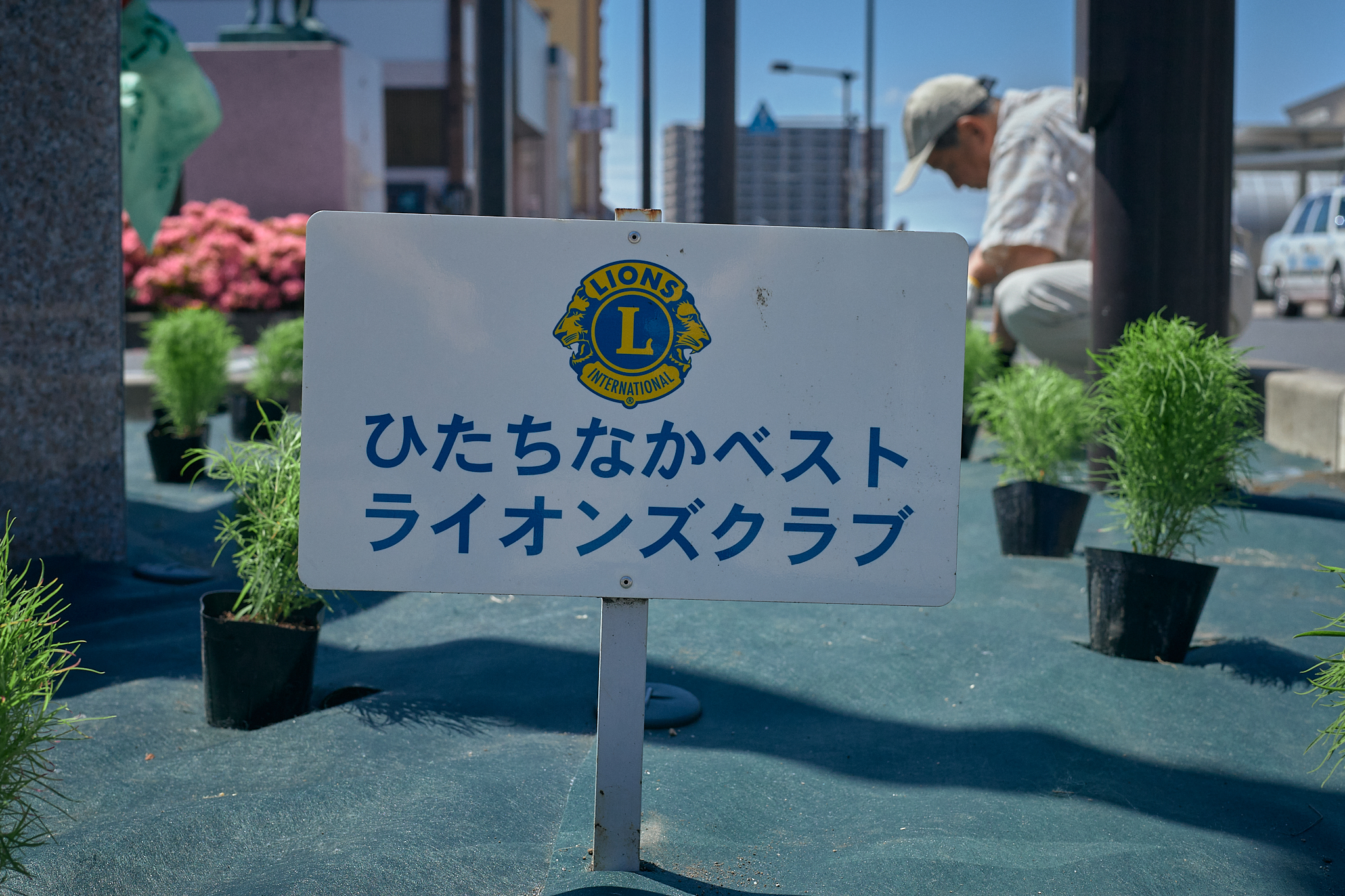 勝田駅前花壇コキア苗植え ひたちなかベストライオンズクラブ 茨城 ひたちなか ライオンズクラブ