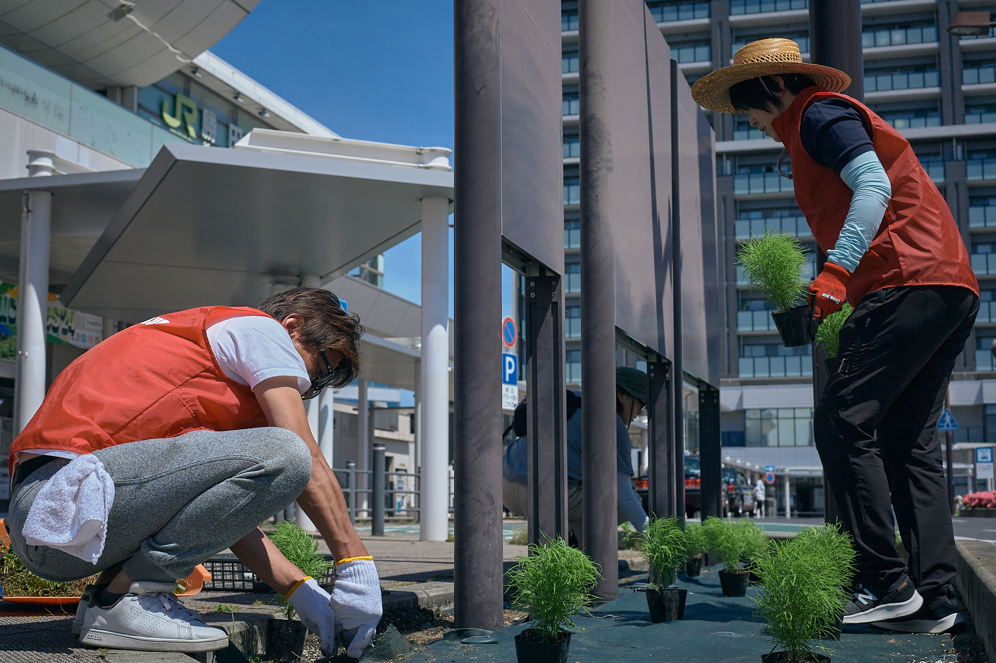 勝田駅前花壇コキア苗植え ひたちなかベストライオンズクラブ 茨城 ひたちなか ライオンズクラブ