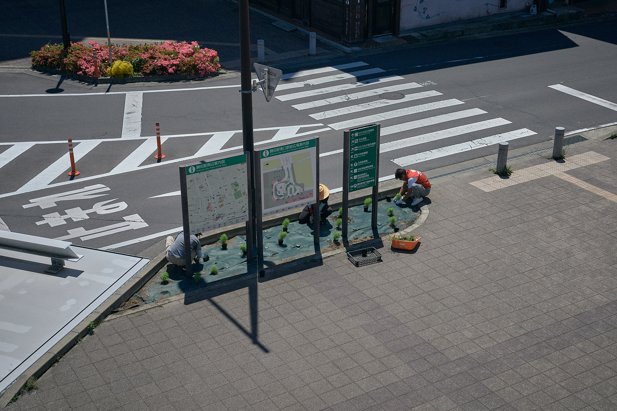 勝田駅前花壇コキア苗植え ひたちなかベストライオンズクラブ 茨城 ひたちなか ライオンズクラブ