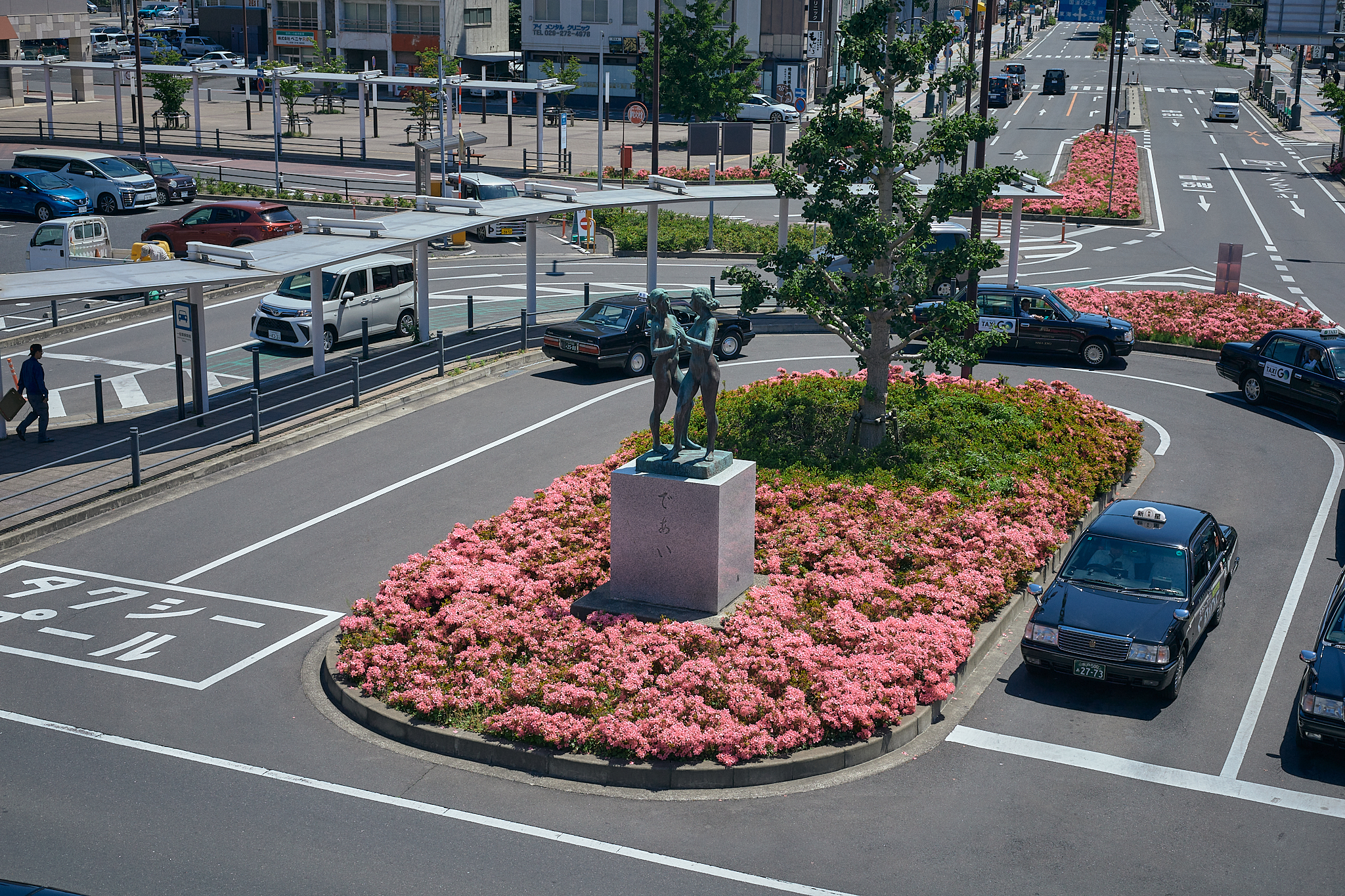 勝田駅前花壇コキア苗植え ひたちなかベストライオンズクラブ 茨城 ひたちなか ライオンズクラブ