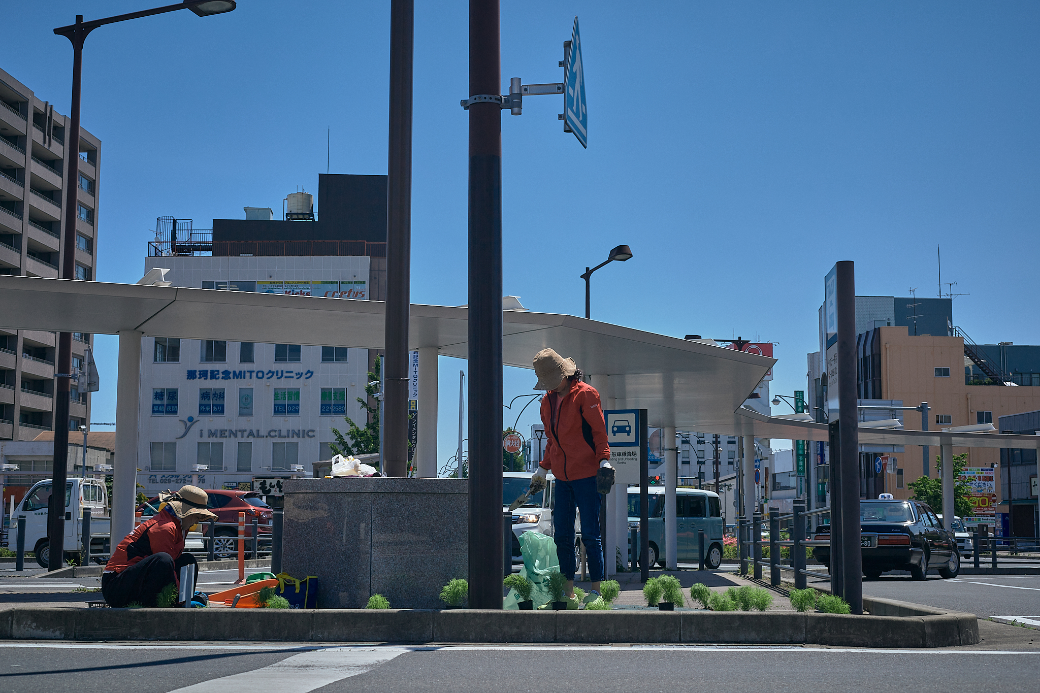勝田駅前花壇コキア苗植え ひたちなかベストライオンズクラブ 茨城 ひたちなか ライオンズクラブ