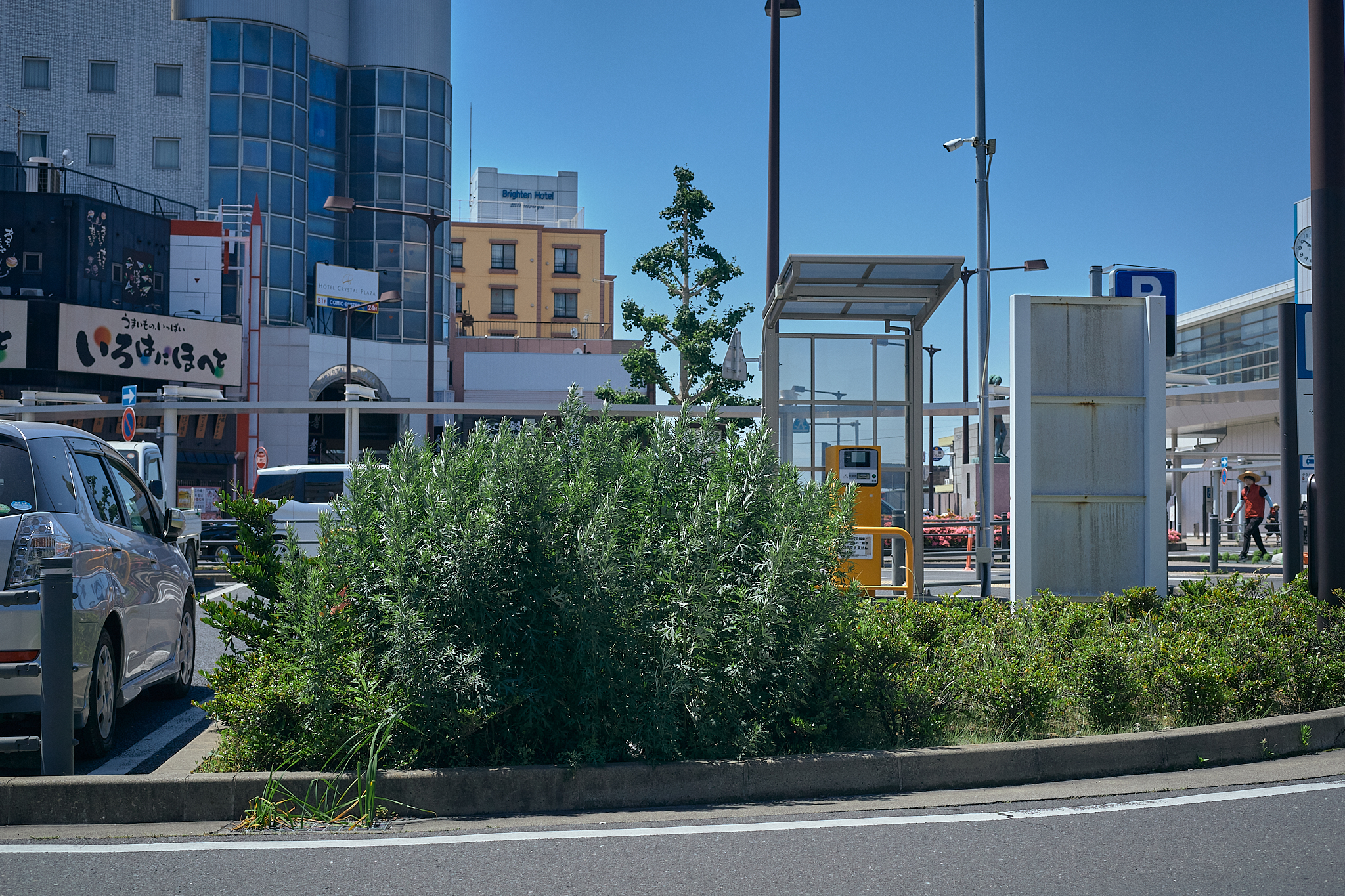 勝田駅前花壇コキア苗植え ひたちなかベストライオンズクラブ 茨城 ひたちなか ライオンズクラブ