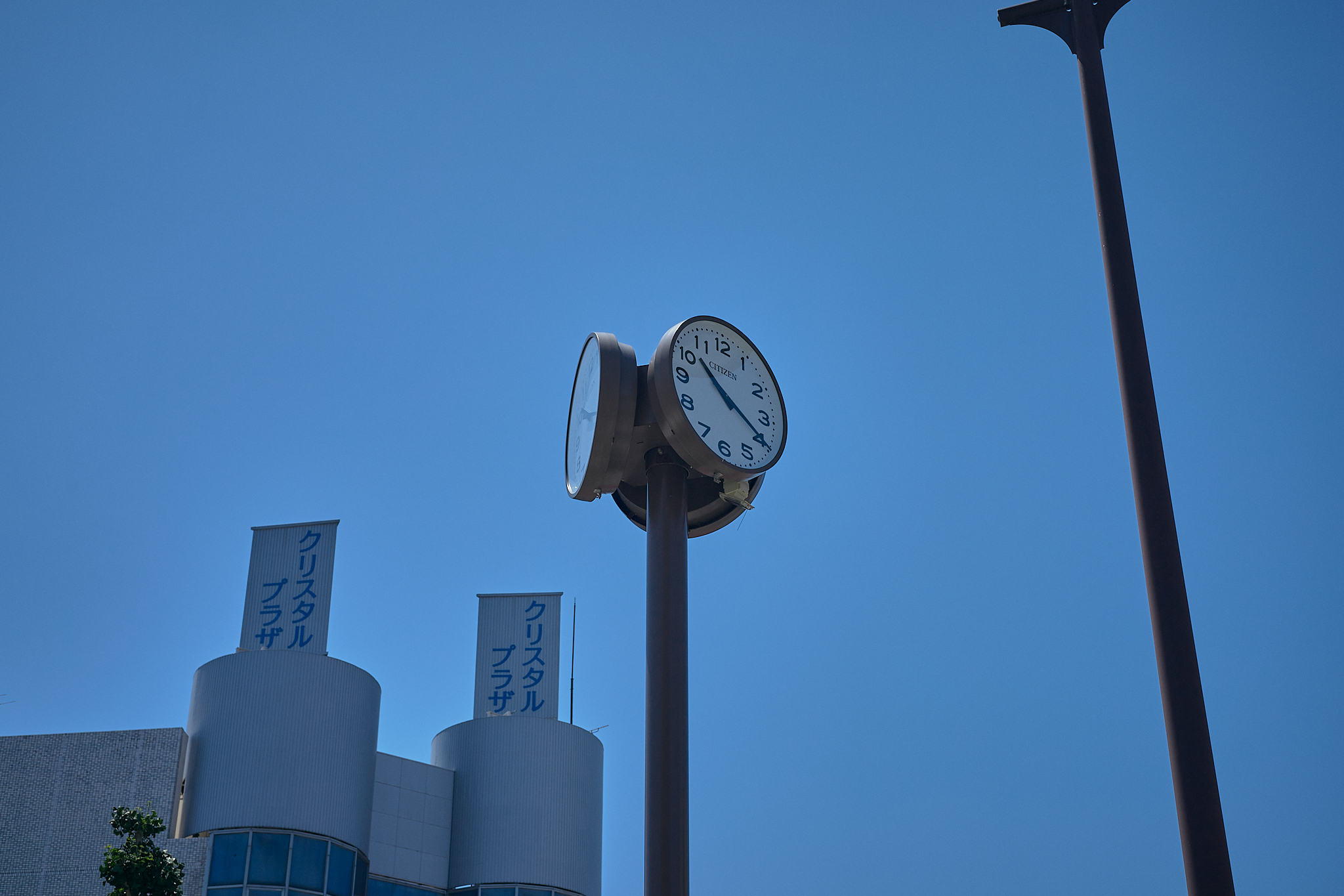勝田駅前花壇コキア苗植え ひたちなかベストライオンズクラブ 茨城 ひたちなか ライオンズクラブ