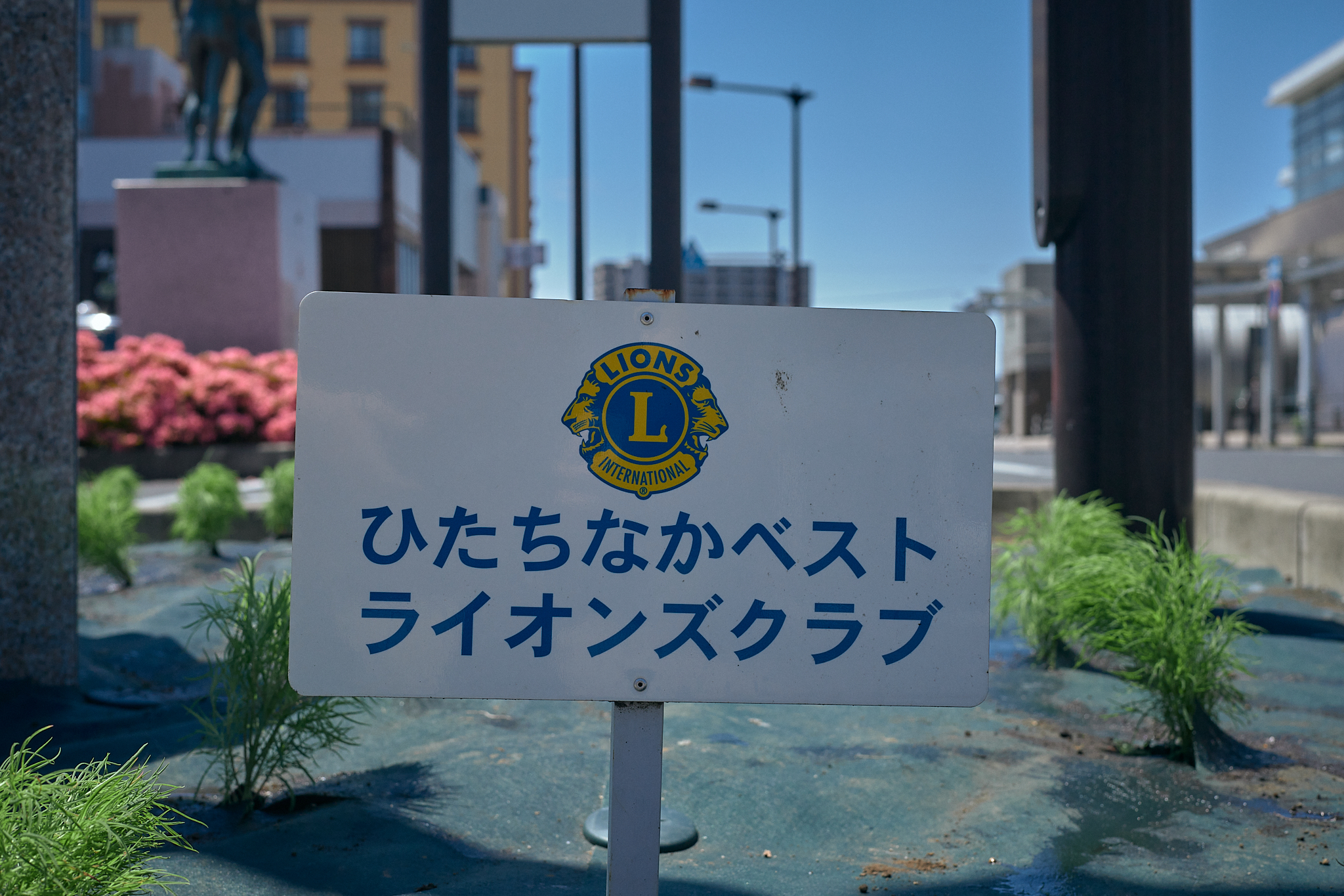 勝田駅前花壇コキア苗植え ひたちなかベストライオンズクラブ 茨城 ひたちなか ライオンズクラブ