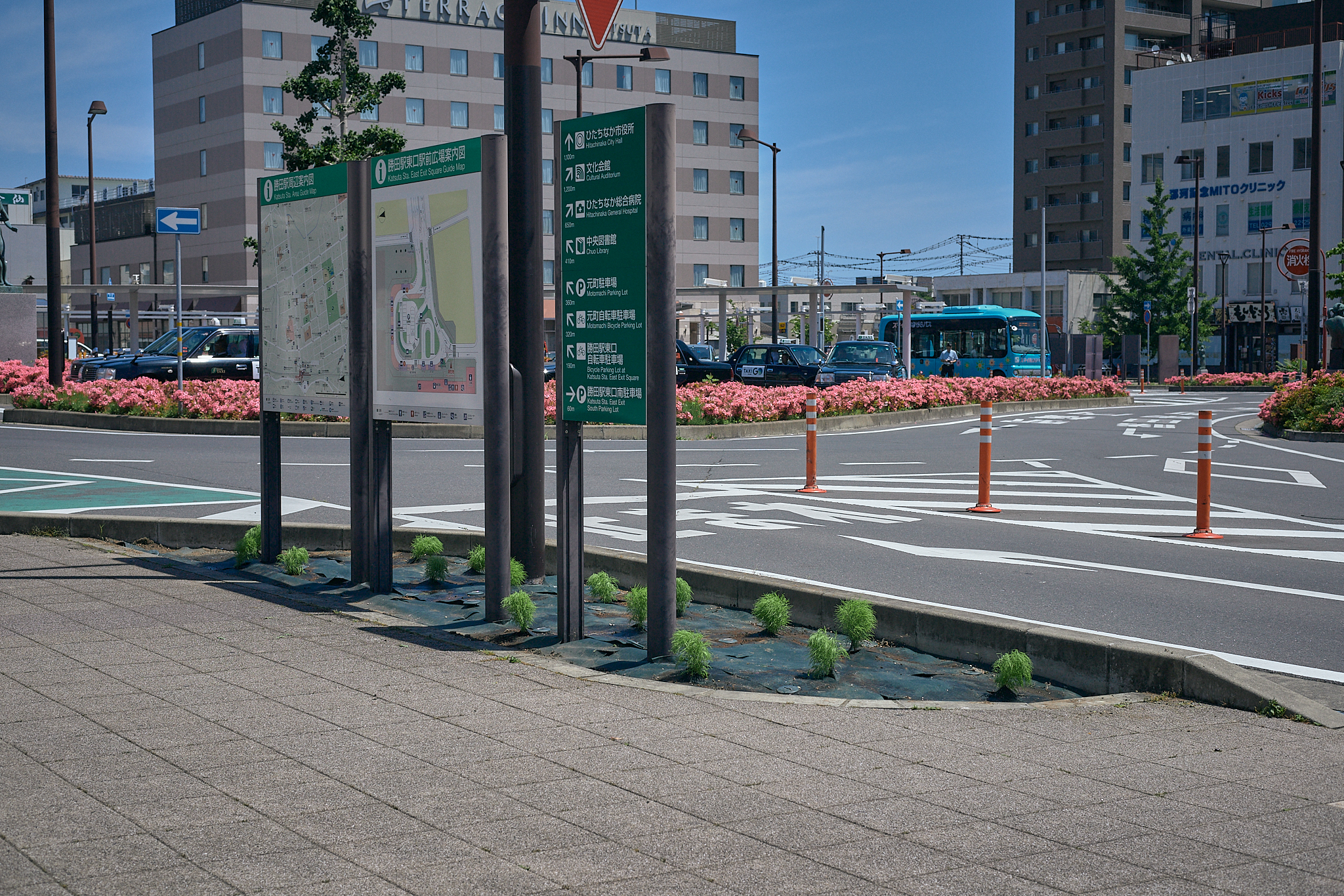 勝田駅前花壇コキア苗植え ひたちなかベストライオンズクラブ 茨城 ひたちなか ライオンズクラブ