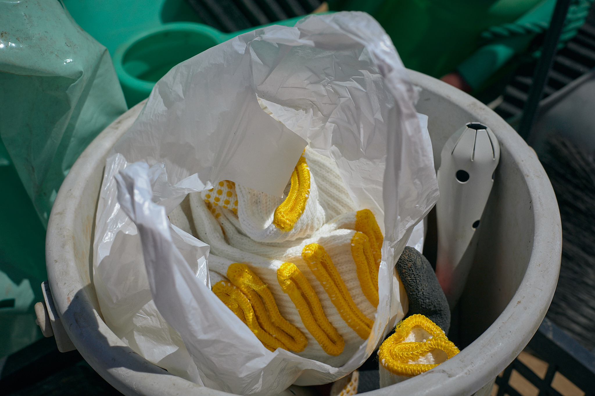 勝田駅前花壇コキア苗植え ひたちなかベストライオンズクラブ 茨城 ひたちなか ライオンズクラブ