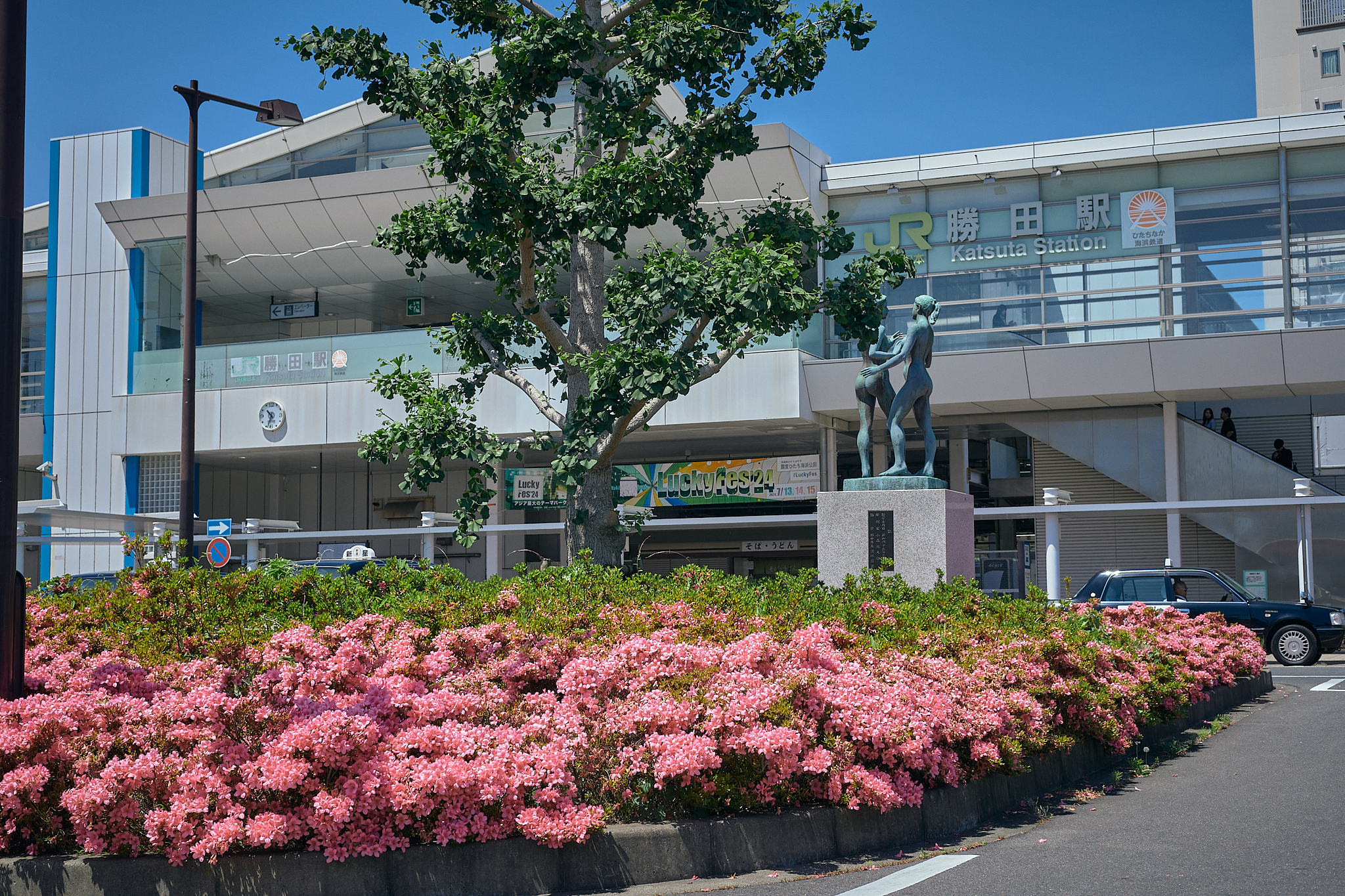 勝田駅前花壇コキア苗植え ひたちなかベストライオンズクラブ 茨城 ひたちなか ライオンズクラブ