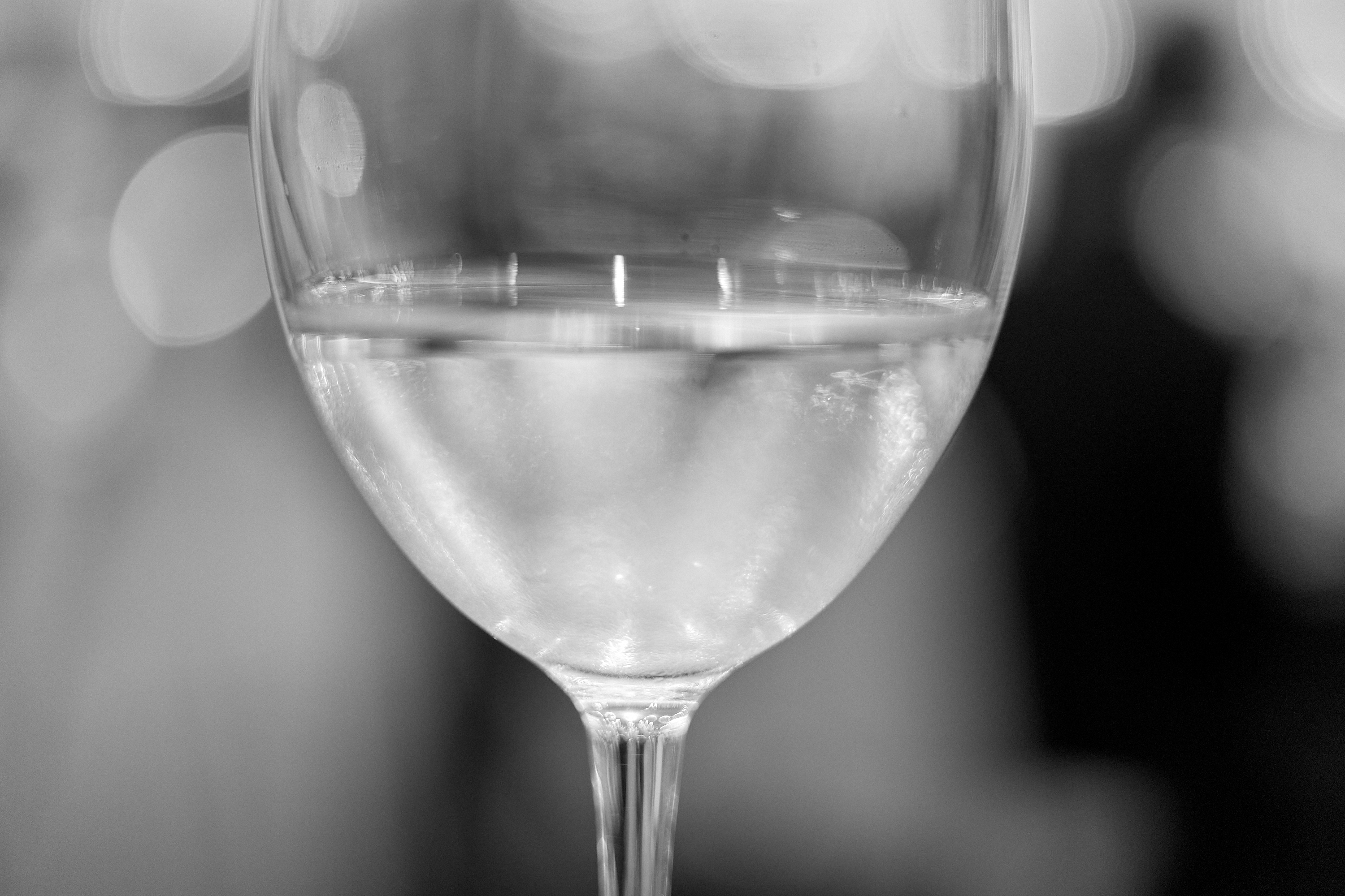 2025-2026年度1R2Z地区ガバナー公式訪問合同例会 ひたちなかベストライオンズクラブ 茨城 ひたちなか ライオンズクラブ