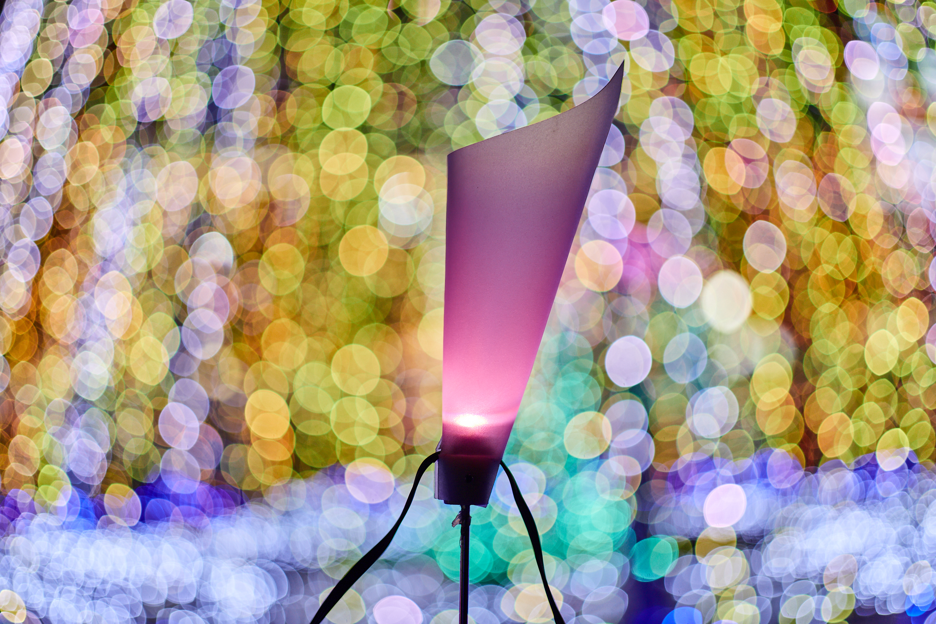 1R合同諮問委員会 ひたちなかベストライオンズクラブ 茨城 ひたちなか ライオンズクラブ