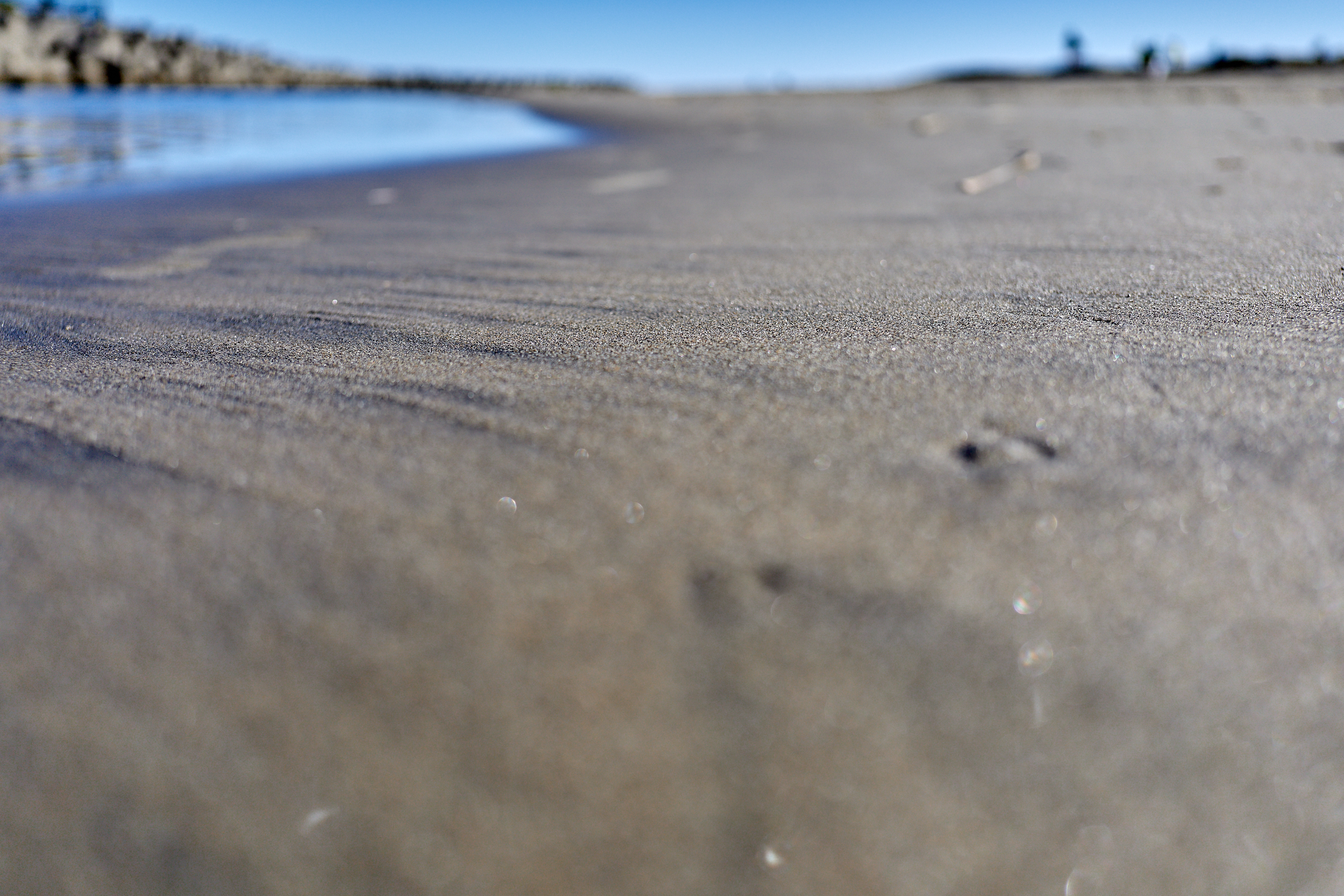 2Z合同アクティビティ ひたちなかベストライオンズクラブ 茨城 ひたちなか ライオンズクラブ