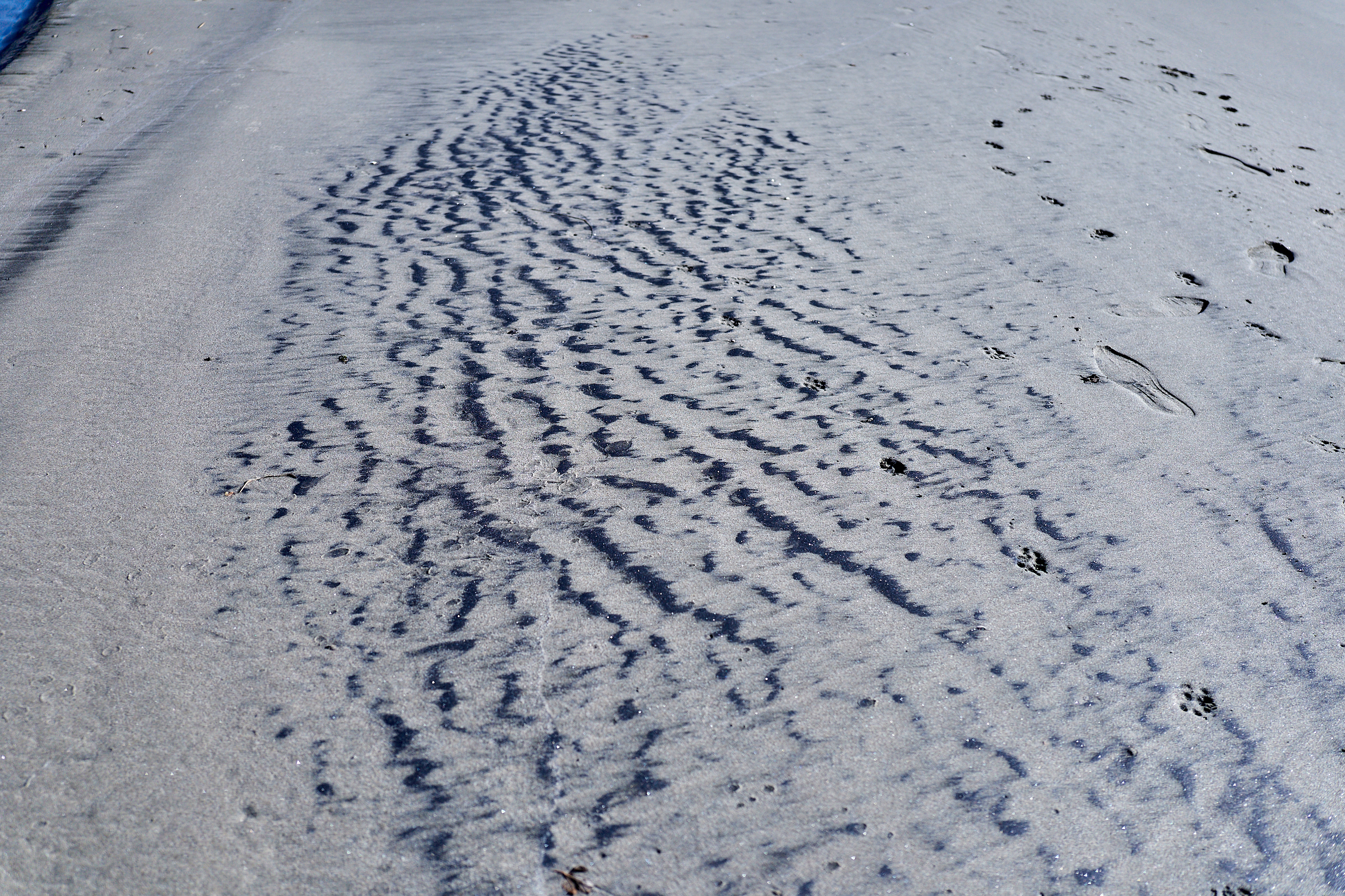 2Z合同アクティビティ ひたちなかベストライオンズクラブ 茨城 ひたちなか ライオンズクラブ