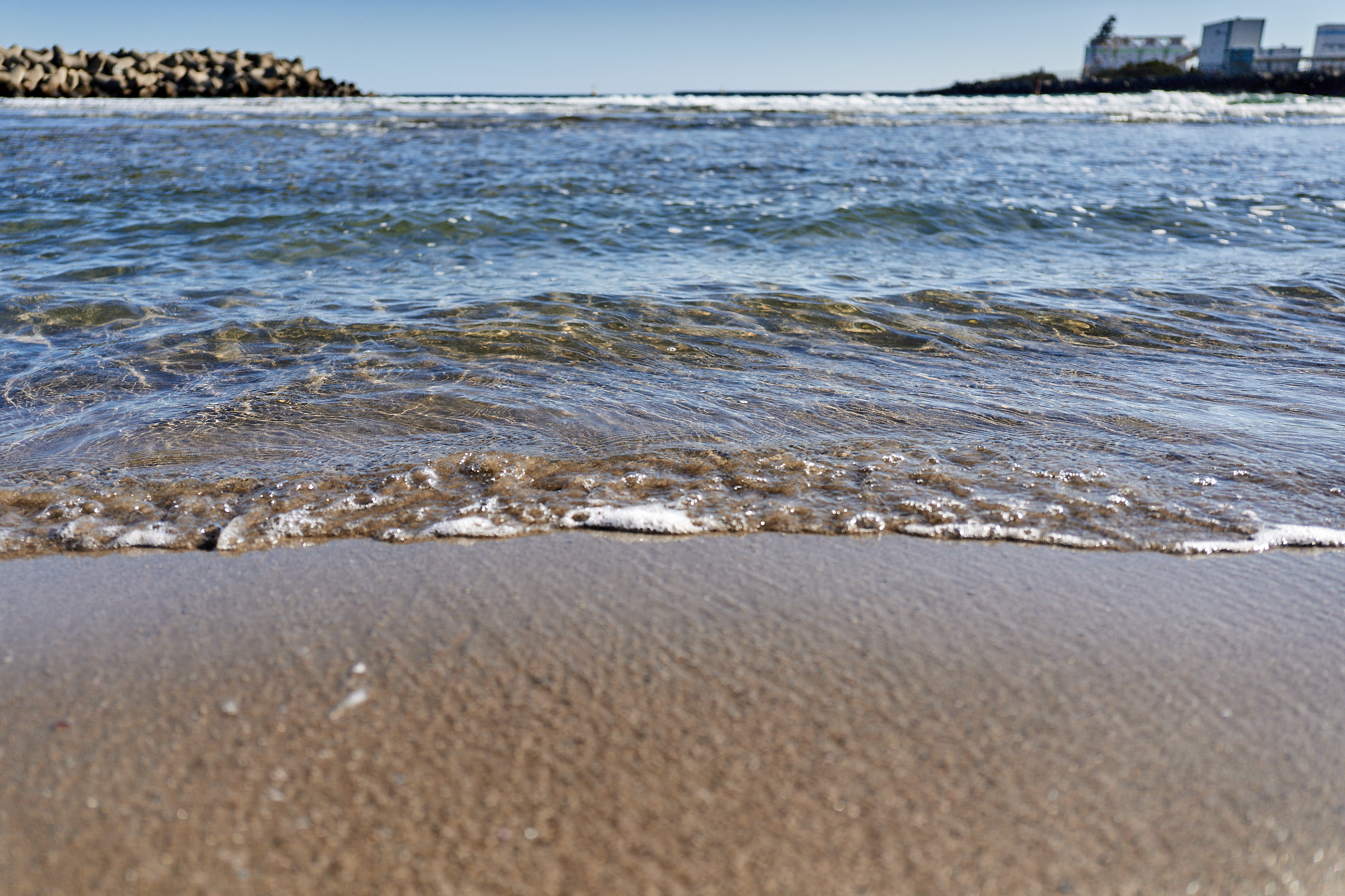 2Z合同アクティビティ ひたちなかベストライオンズクラブ 茨城 ひたちなか ライオンズクラブ