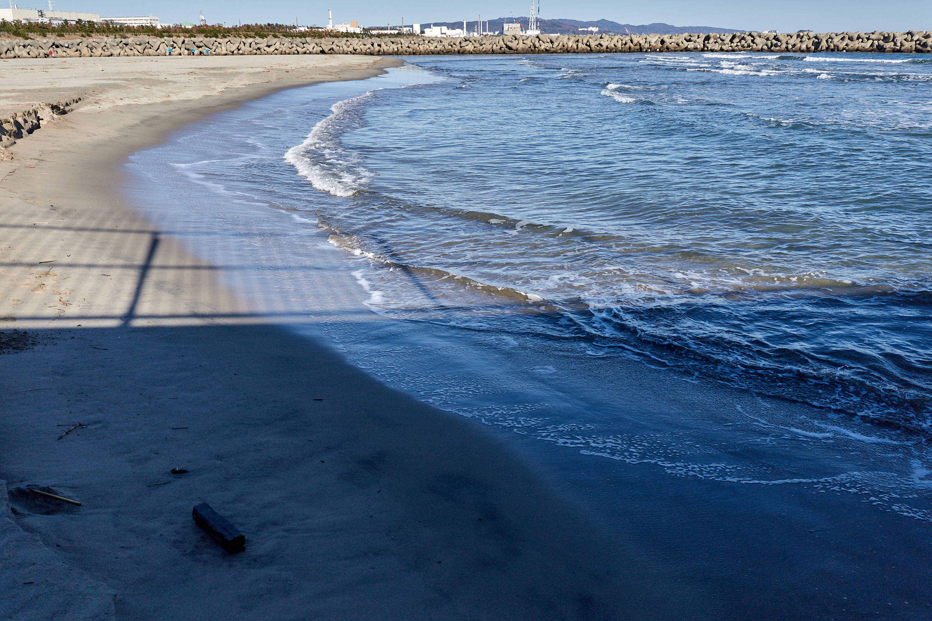 2Z合同アクティビティ ひたちなかベストライオンズクラブ 茨城 ひたちなか ライオンズクラブ