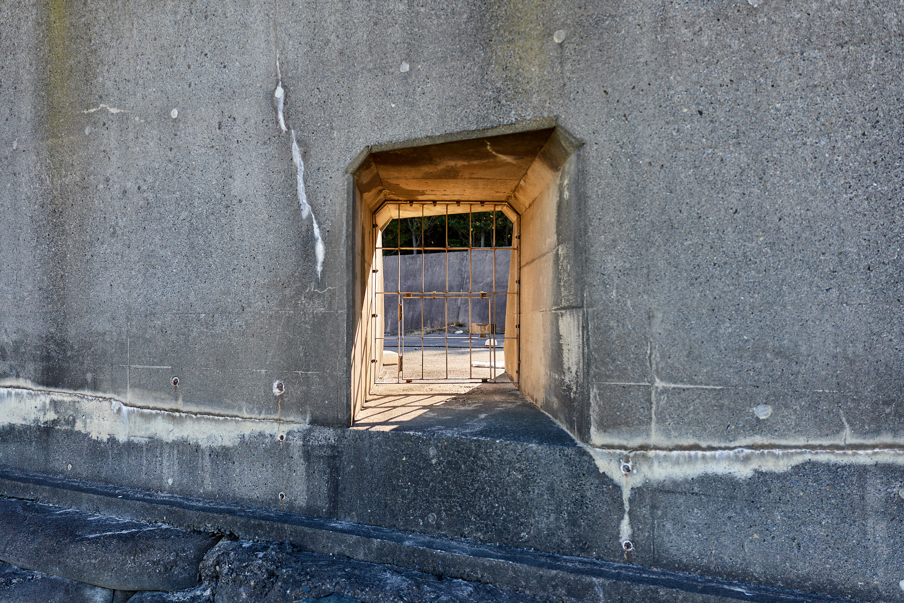 2Z合同アクティビティ ひたちなかベストライオンズクラブ 茨城 ひたちなか ライオンズクラブ