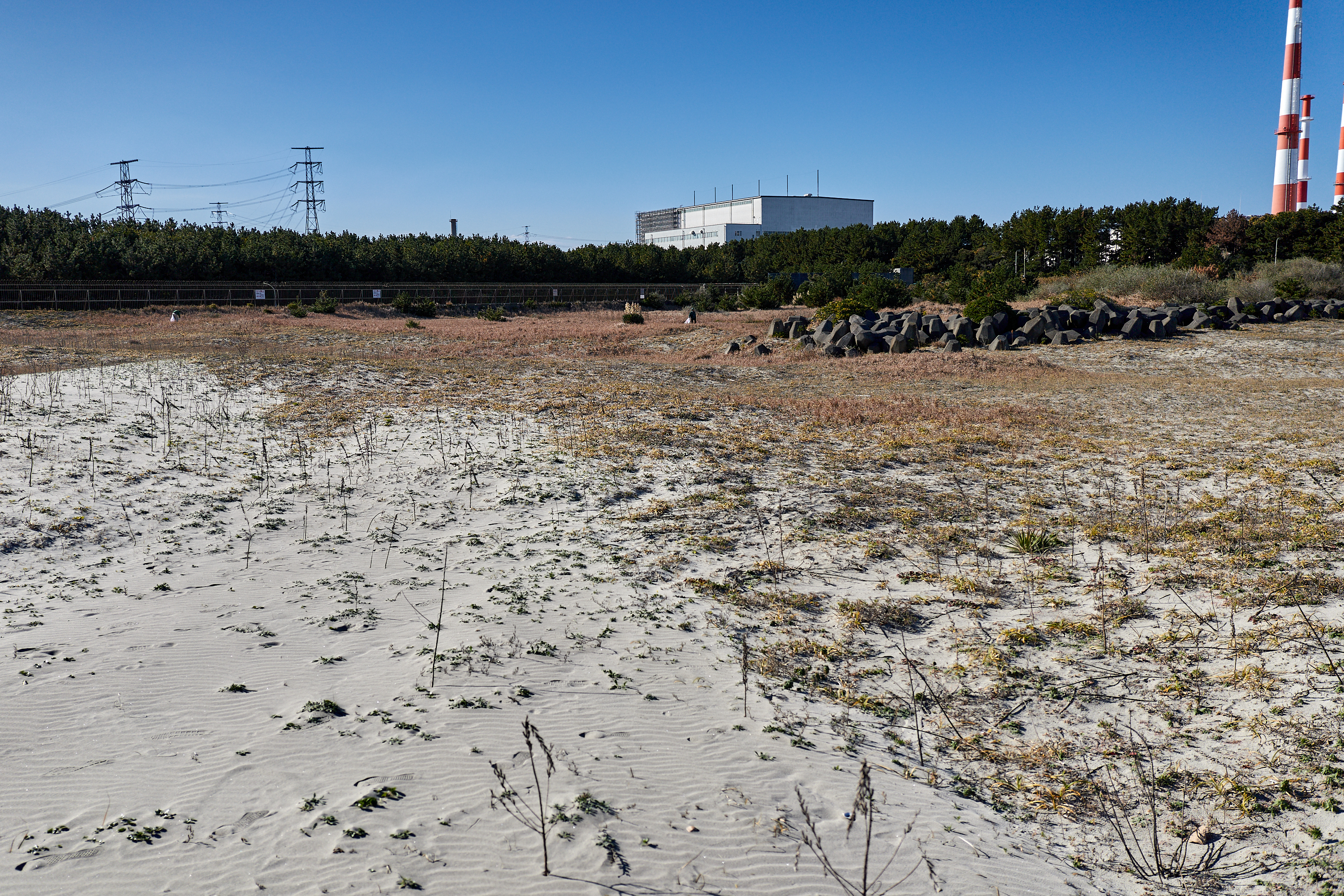 2Z合同アクティビティ ひたちなかベストライオンズクラブ 茨城 ひたちなか ライオンズクラブ