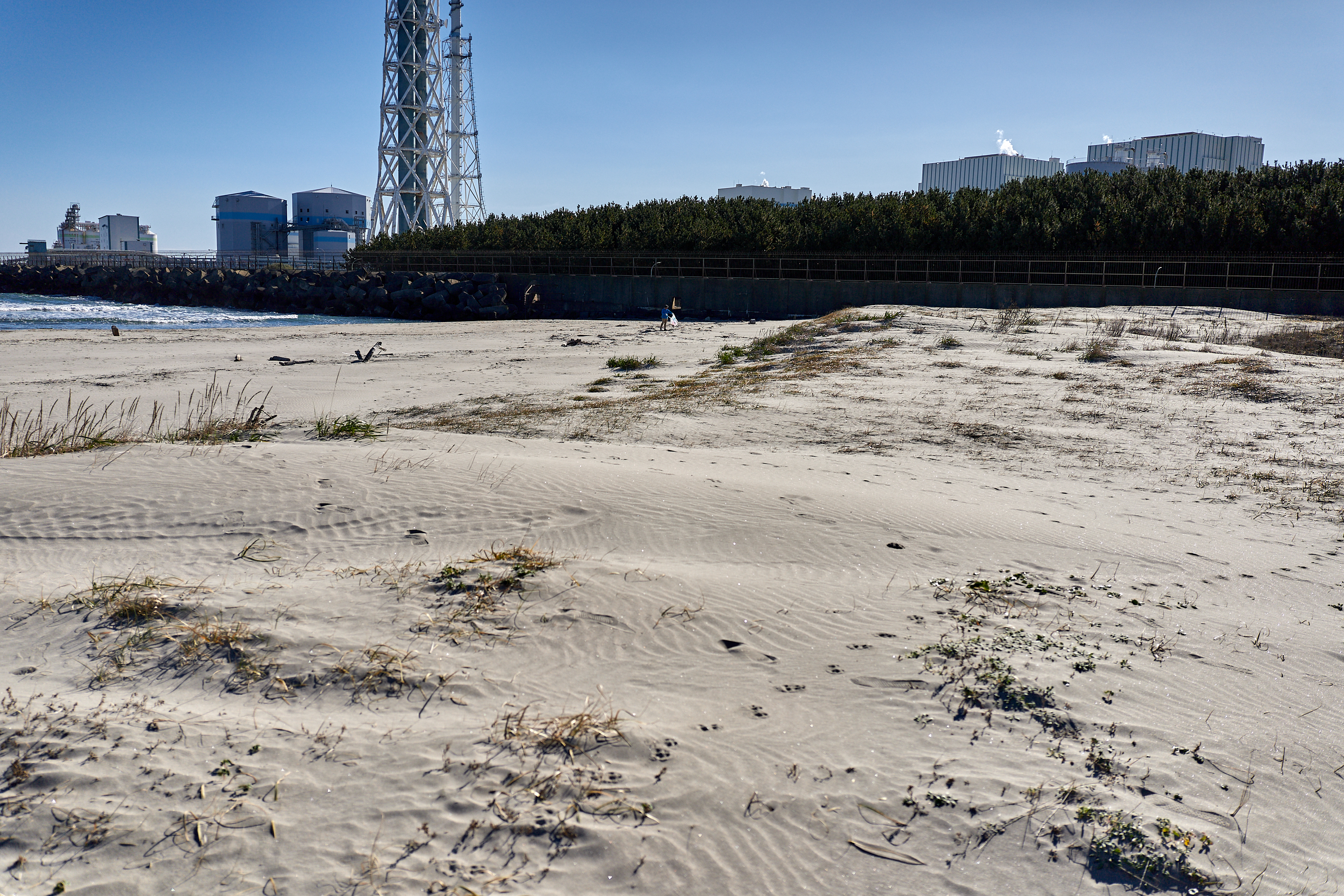 2Z合同アクティビティ ひたちなかベストライオンズクラブ 茨城 ひたちなか ライオンズクラブ