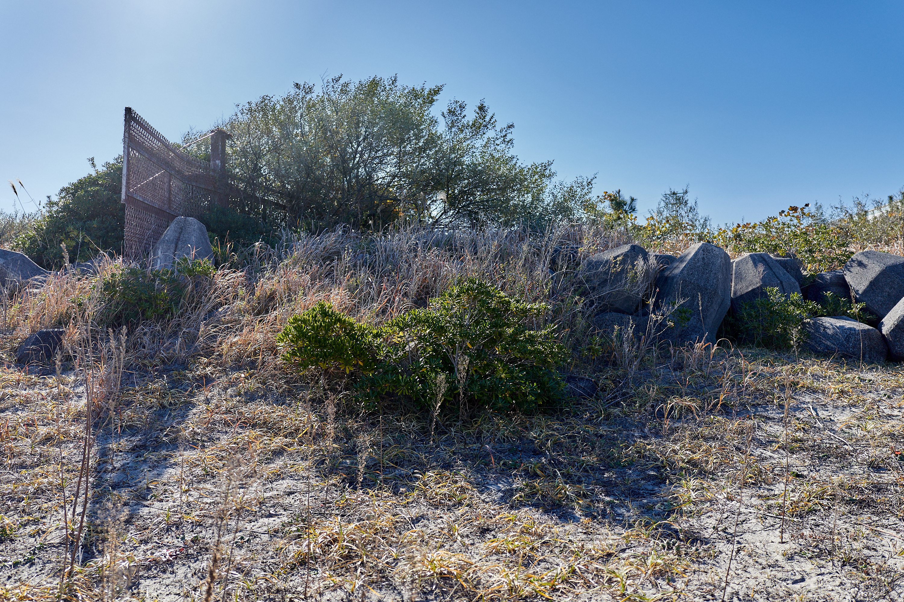 2Z合同アクティビティ ひたちなかベストライオンズクラブ 茨城 ひたちなか ライオンズクラブ