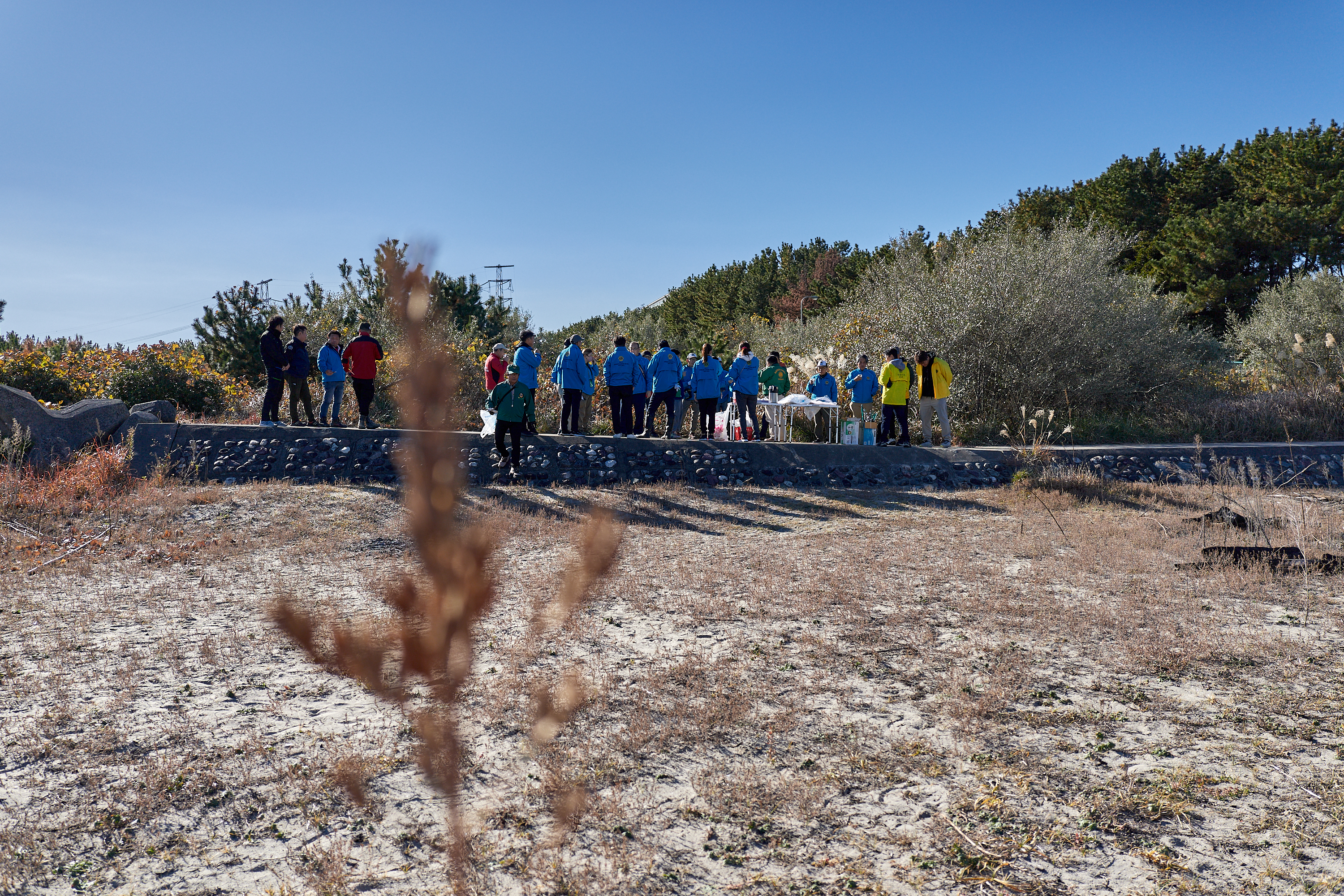 2Z合同アクティビティ ひたちなかベストライオンズクラブ 茨城 ひたちなか ライオンズクラブ