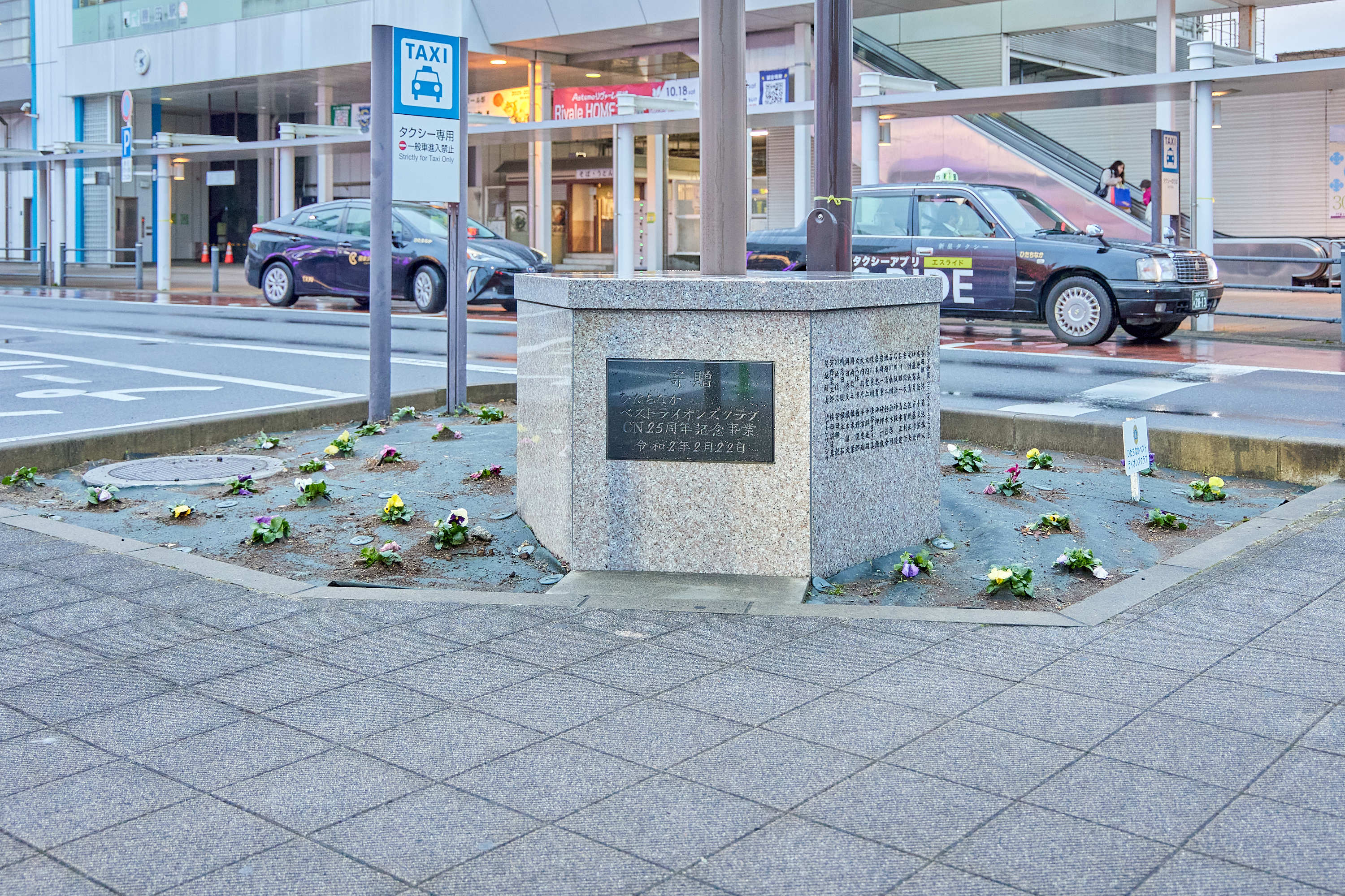 12月事業「勝田駅前花壇プロジェクト」ひたちなかベストライオンズクラブ 茨城 ひたちなか ライオンズクラブ
