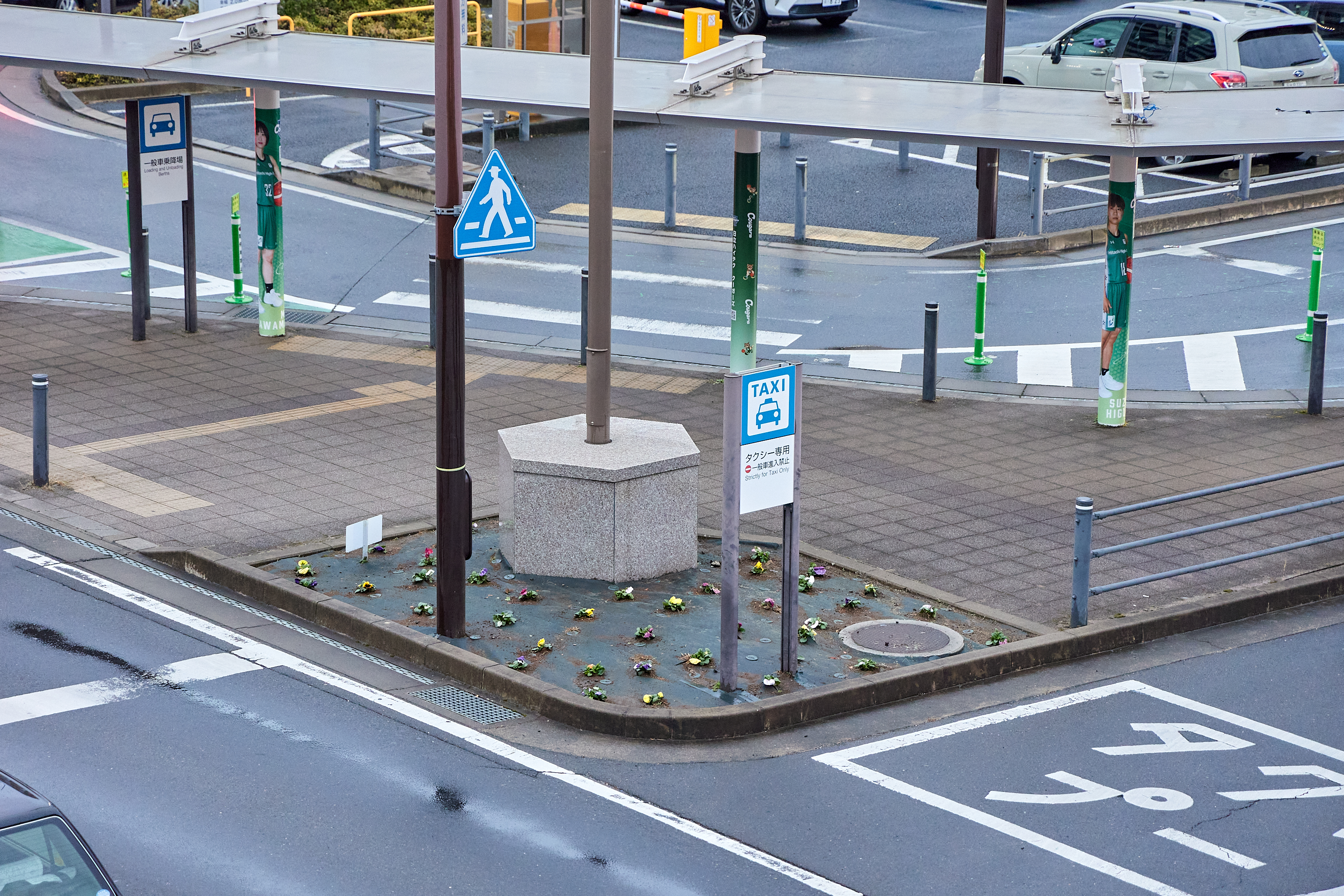 12月事業「勝田駅前花壇プロジェクト」ひたちなかベストライオンズクラブ 茨城 ひたちなか ライオンズクラブ