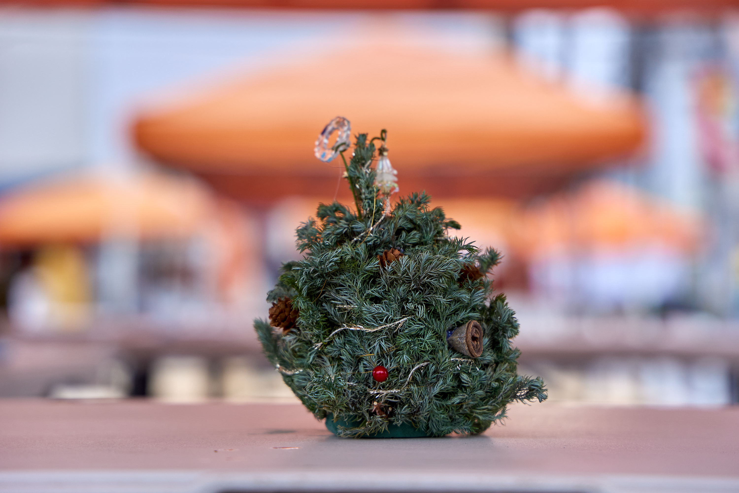 12月事業「笑顔の咲くまちプロジェクト＆レモネードスタンド」ひたちなかベストライオンズクラブ 茨城 ひたちなか ライオンズクラブ