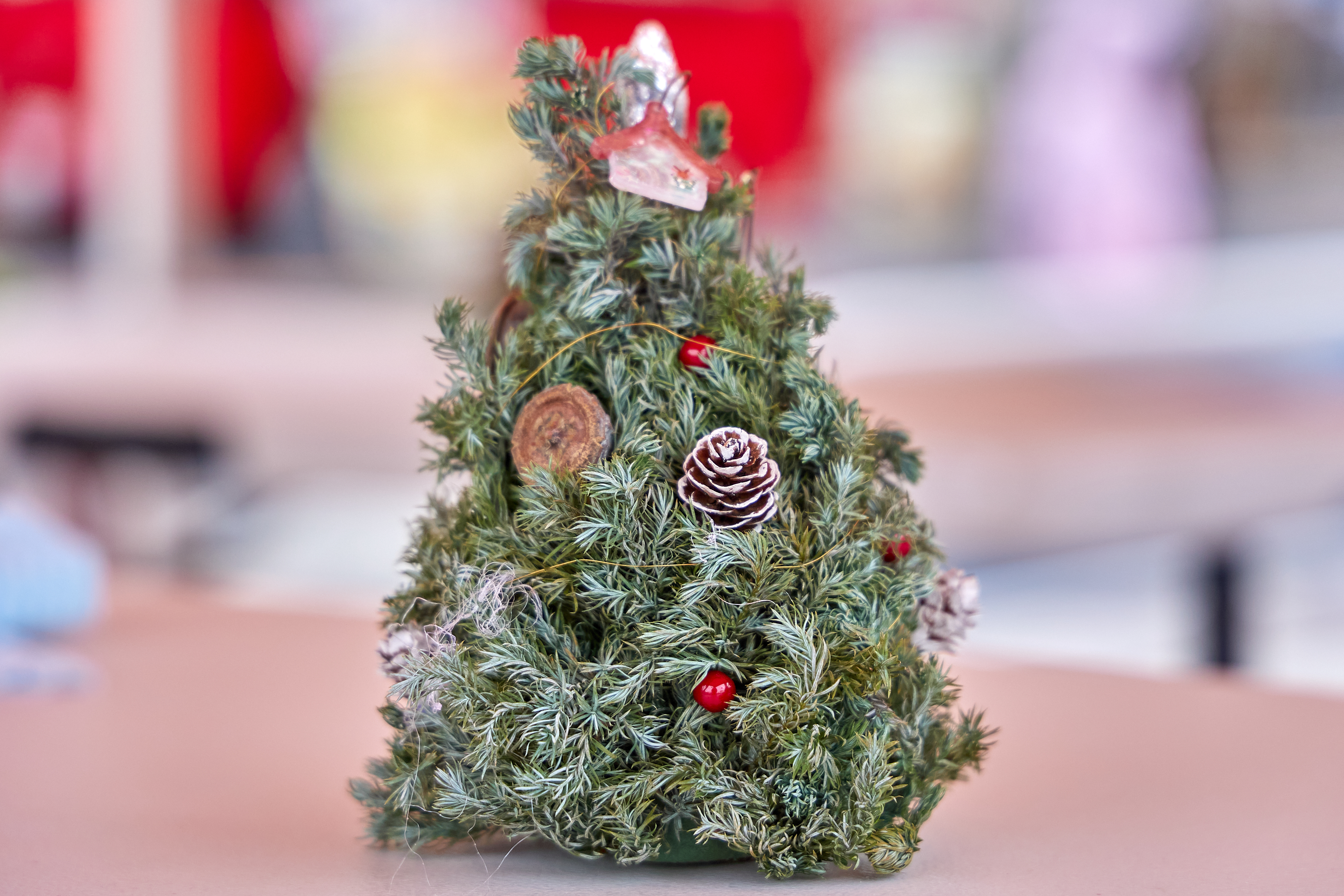 12月事業「笑顔の咲くまちプロジェクト＆レモネードスタンド」ひたちなかベストライオンズクラブ 茨城 ひたちなか ライオンズクラブ