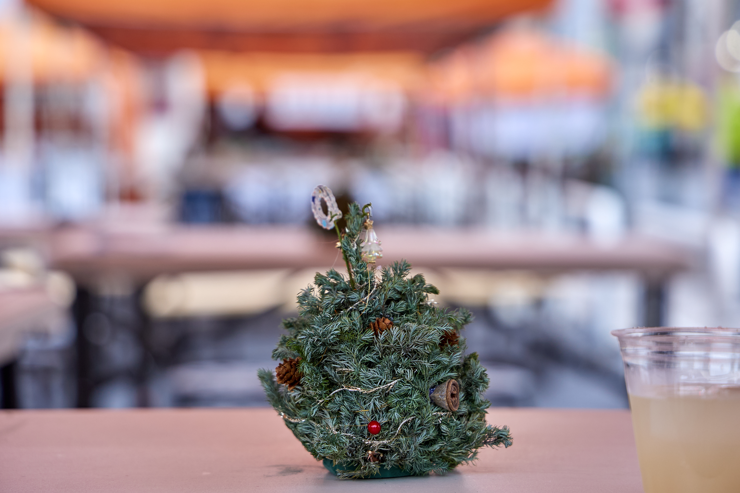 12月事業「笑顔の咲くまちプロジェクト＆レモネードスタンド」ひたちなかベストライオンズクラブ 茨城 ひたちなか ライオンズクラブ