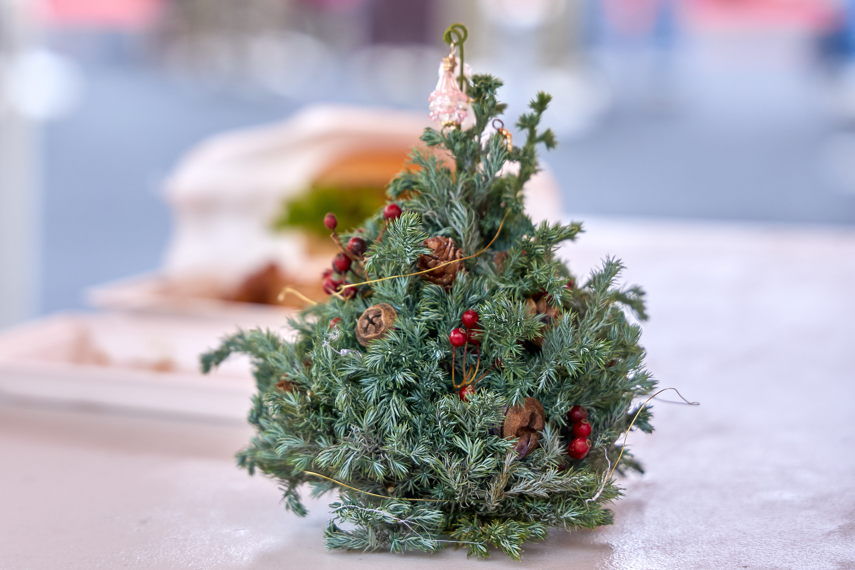 12月事業「笑顔の咲くまちプロジェクト＆レモネードスタンド」ひたちなかベストライオンズクラブ 茨城 ひたちなか ライオンズクラブ