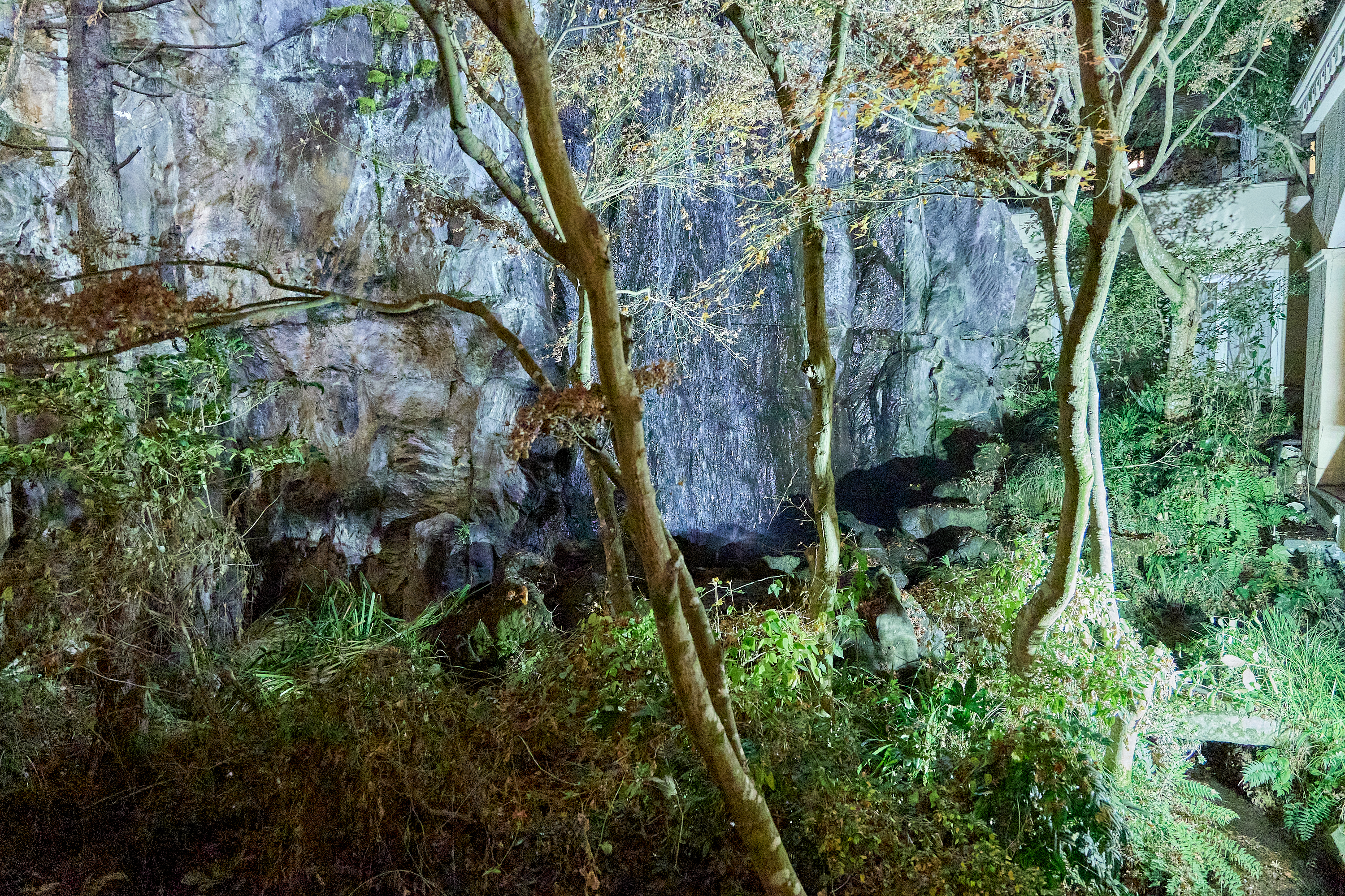 12月第2例会（クリスマス会）ひたちなかベストライオンズクラブ 茨城 ひたちなか ライオンズクラブ