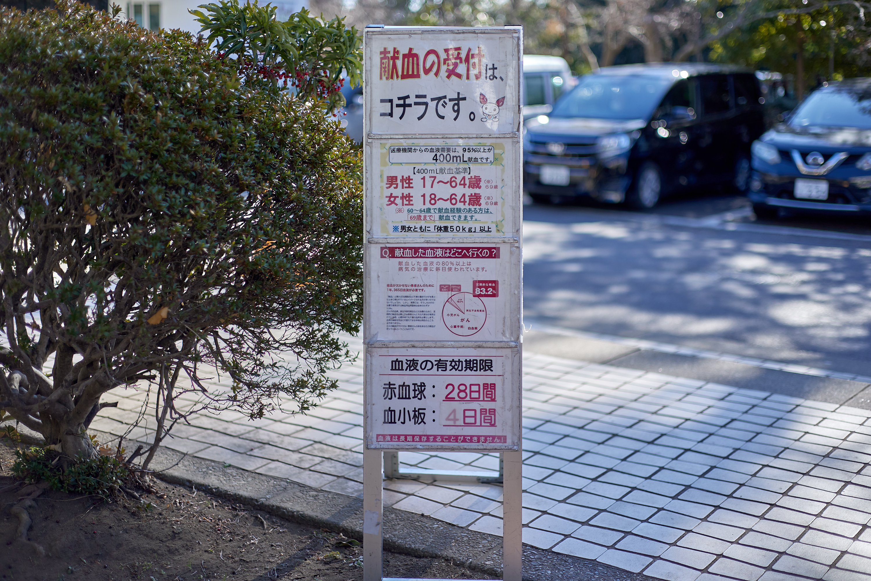 献血奉仕活動 ひたちなかベストライオンズクラブ 茨城 ひたちなか ライオンズクラブ