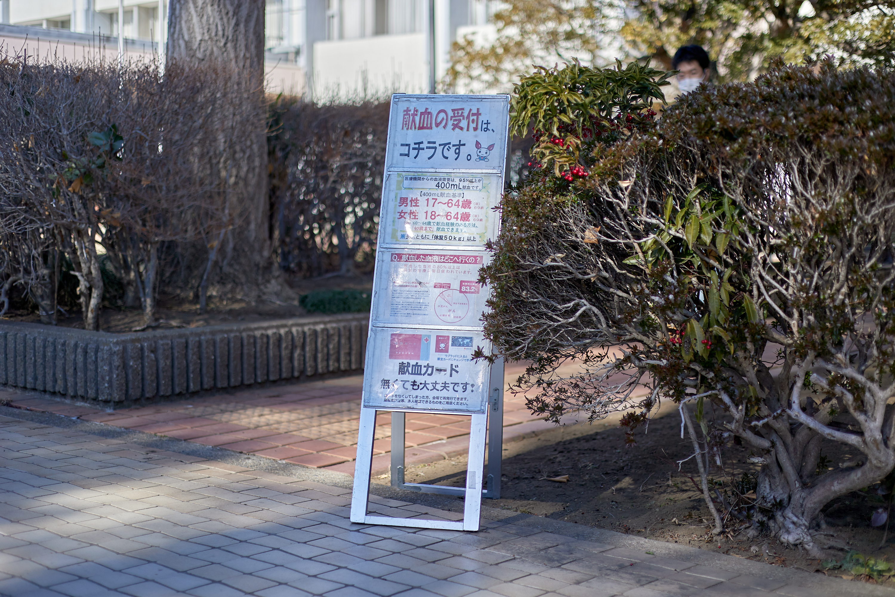 献血奉仕活動 ひたちなかベストライオンズクラブ 茨城 ひたちなか ライオンズクラブ