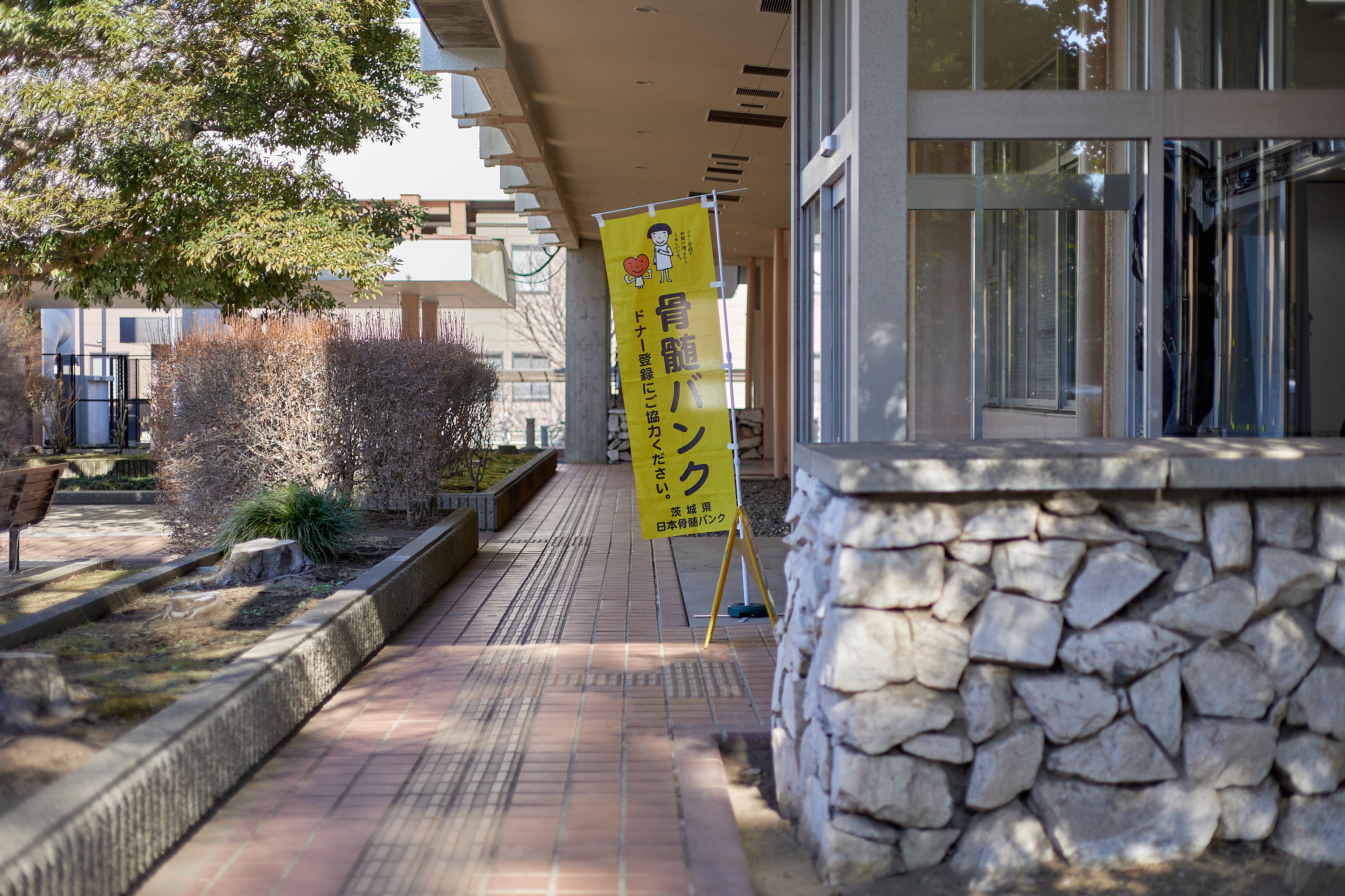 献血奉仕活動 ひたちなかベストライオンズクラブ 茨城 ひたちなか ライオンズクラブ