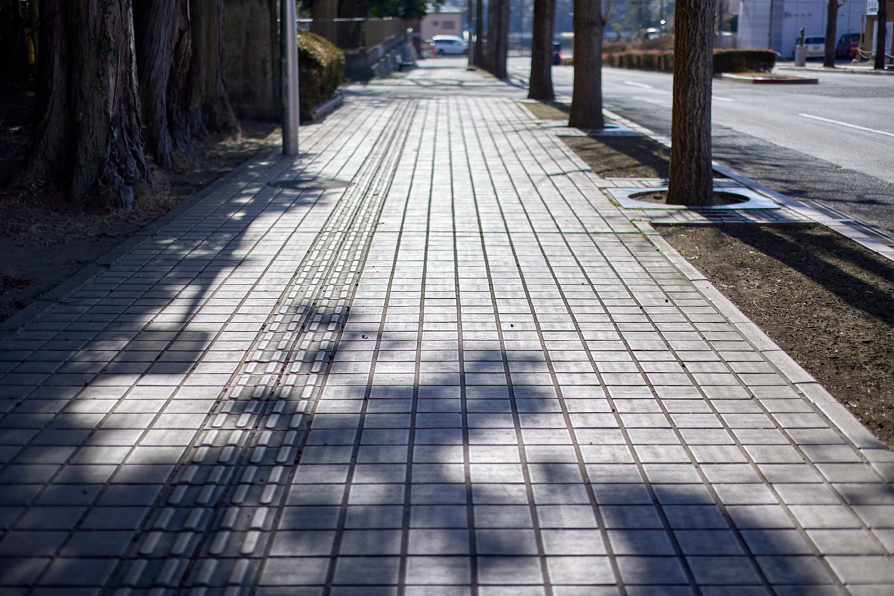 献血奉仕活動 ひたちなかベストライオンズクラブ 茨城 ひたちなか ライオンズクラブ
