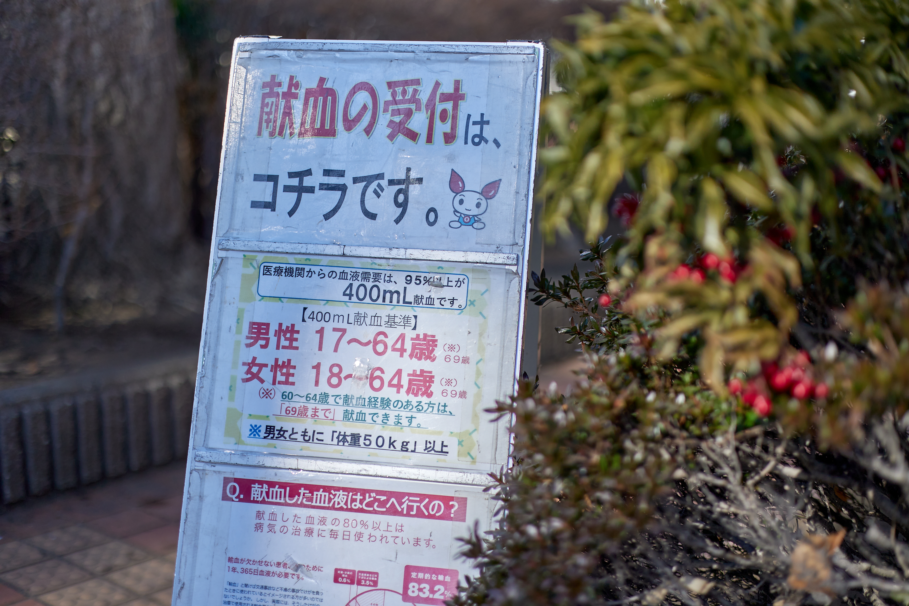 献血奉仕活動 ひたちなかベストライオンズクラブ 茨城 ひたちなか ライオンズクラブ